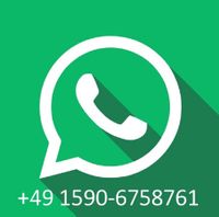 Contact us on WhatsApp